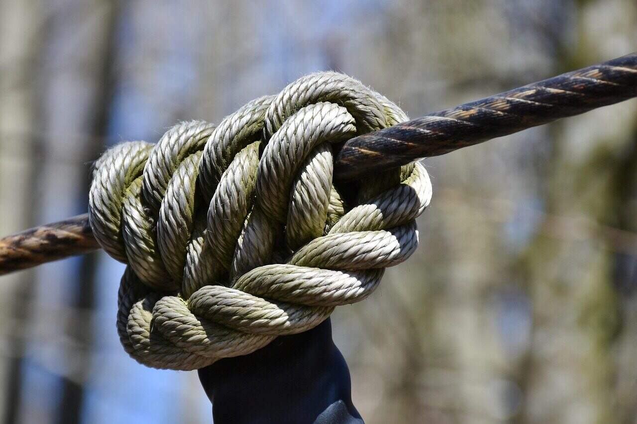 dew, node, security, strength, rise, strong, tie, danger, fastening, keep, strength, strength, tie, tie, tie, tie, tie