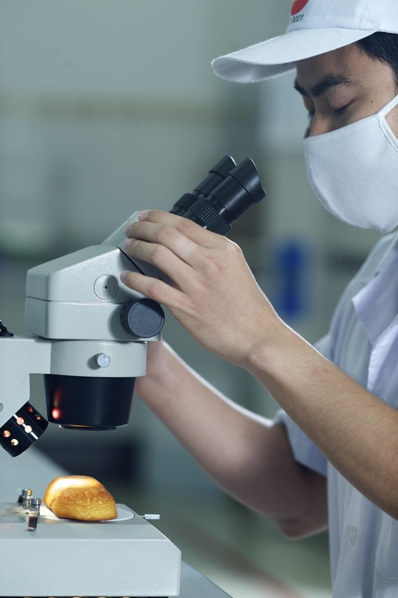 gâteau, microscope, homme, inspection, recherche, inspection, inspection, inspection, inspection, inspection, inspection, inspection.